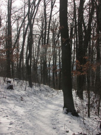 W2) pod Střeleckým kopcem