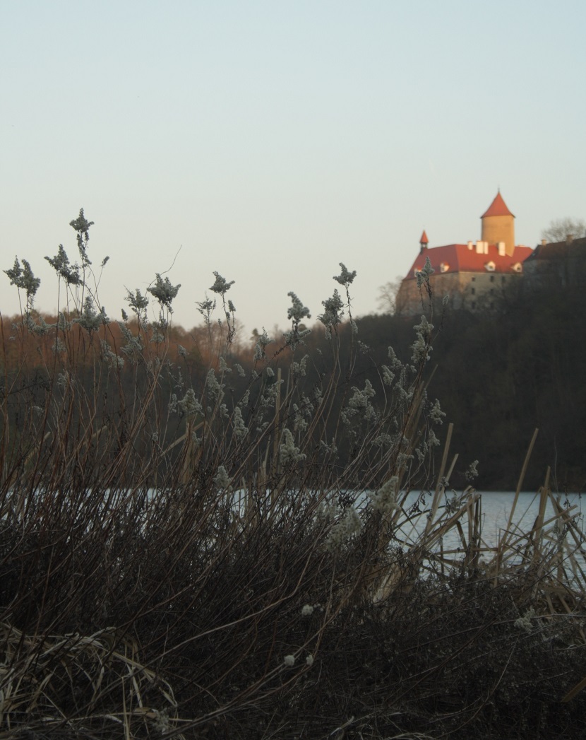 W15) hrad Veveří