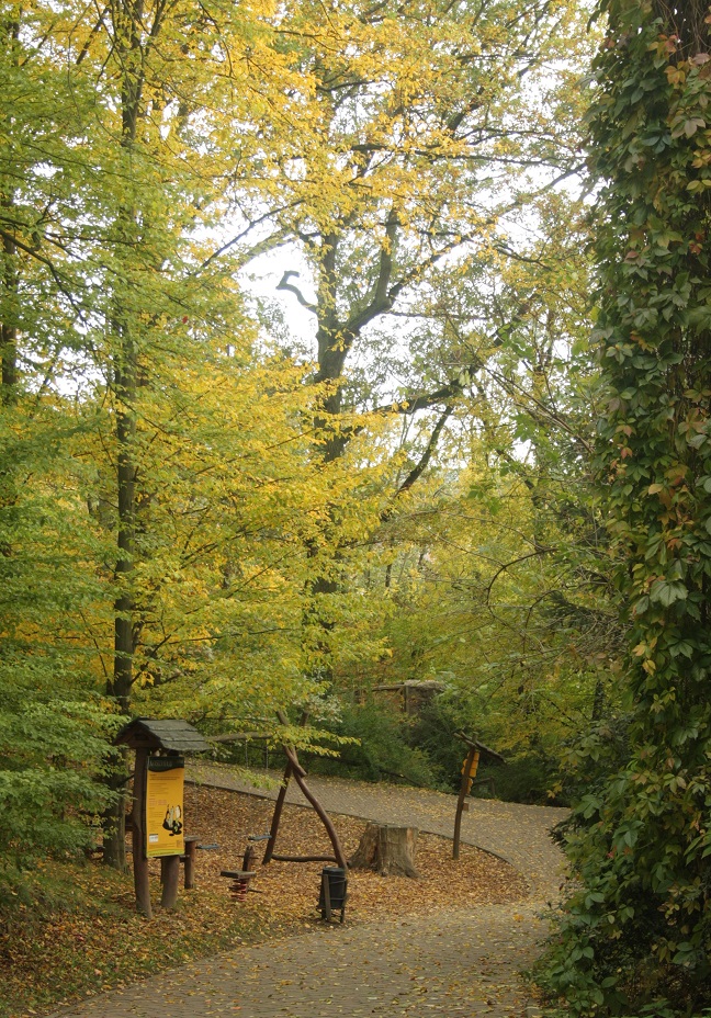 W42) podzim v brněnské ZOO